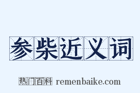 参柴近义词是什么意思的图片